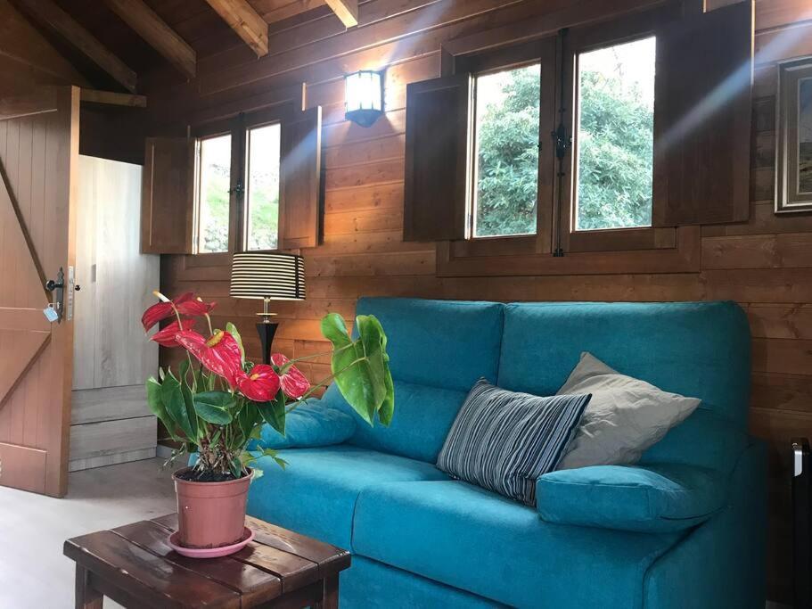 Cozy Mountain Chalet La Orotava Zewnętrze zdjęcie